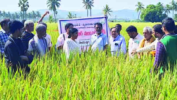 ఉత్తమ గ్రామ యజమాన్య పద్ధతులు పరిశీలన